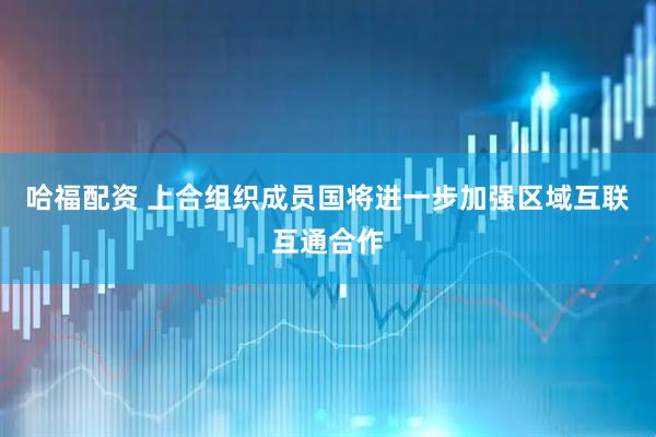 哈福配资 上合组织成员国将进一步加强区域互联互通合作