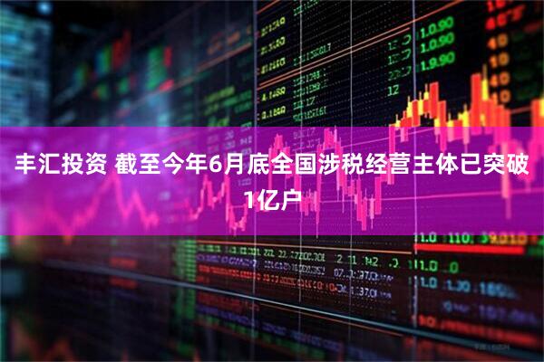 丰汇投资 截至今年6月底全国涉税经营主体已突破1亿户