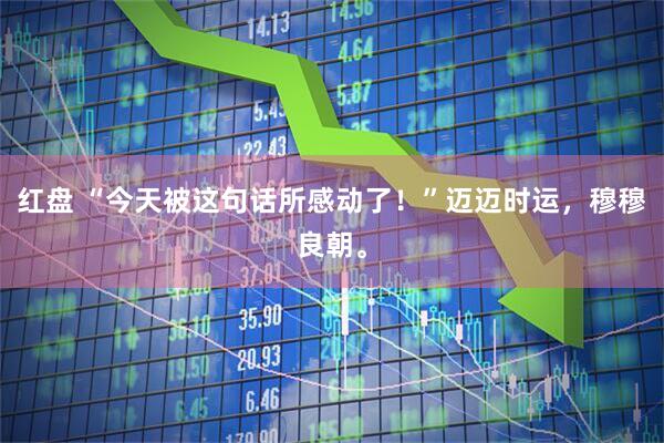 红盘 “今天被这句话所感动了！”迈迈时运，穆穆良朝。