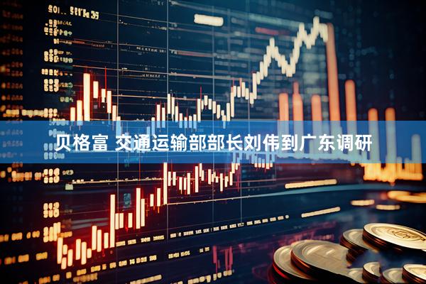 贝格富 交通运输部部长刘伟到广东调研